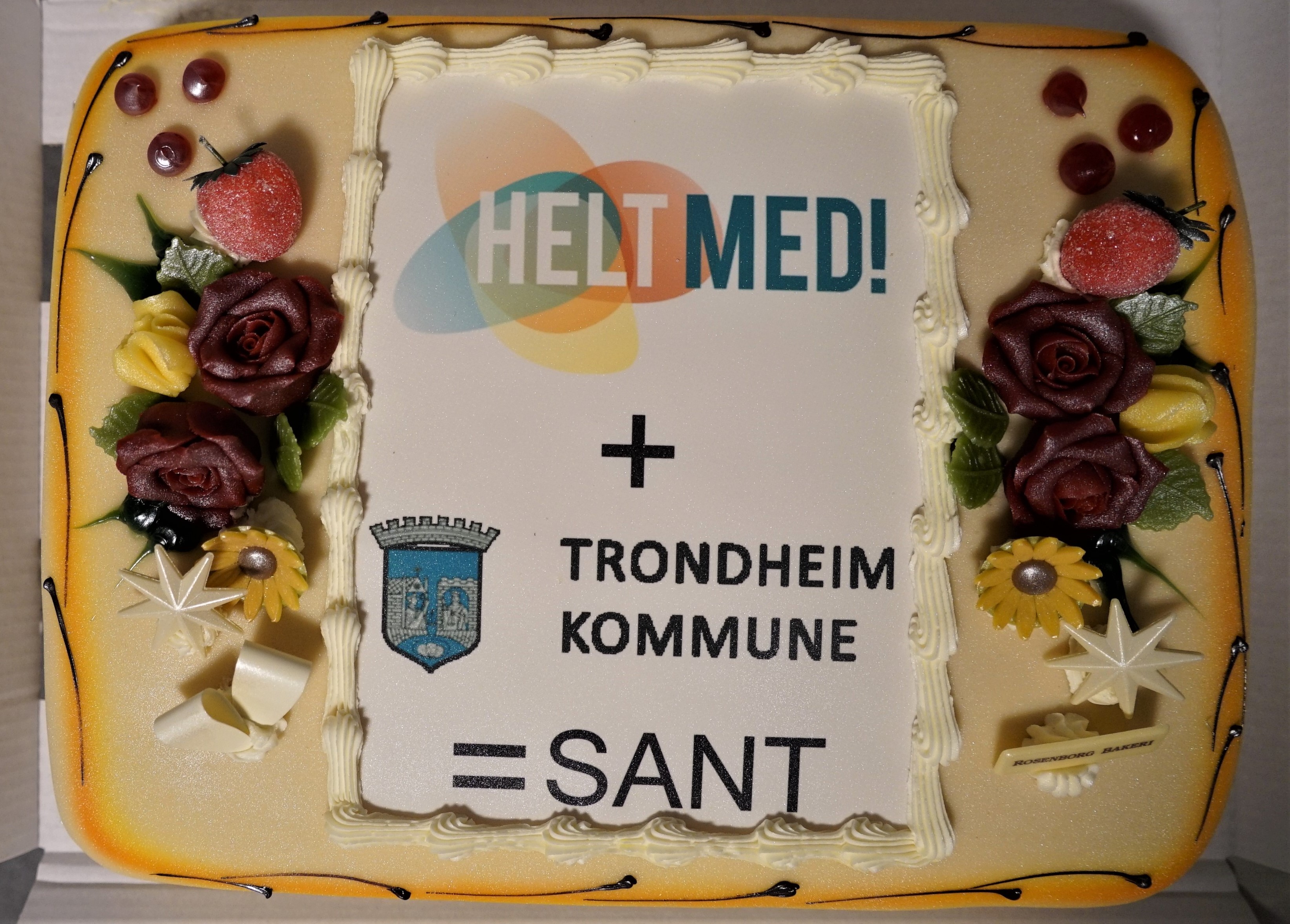                                HELT MED er dypt imponert over satsingen Trondheim kommune gjør for å skape kommunale arbeidsplasser for personer med utviklingshemming og uføretrygd, og uttrykte dette ved å spandere denne lekre kaken - bakt ved Rosenborg Dampbakeri.